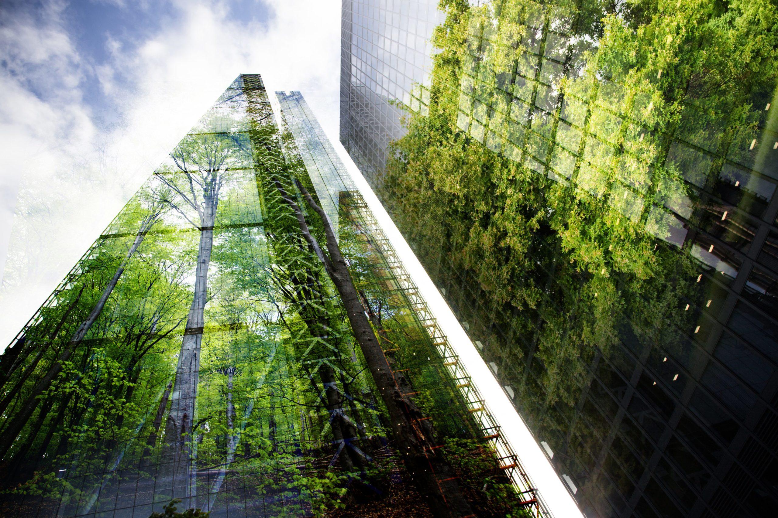 Kickstarting the green revolution